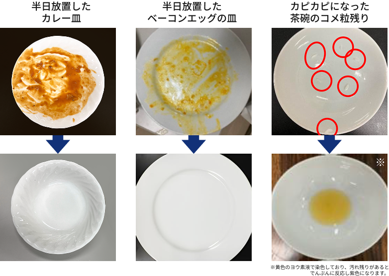 半日放置したカレー皿 半日放置したベーコンエッグの皿 カピカピになった茶碗のコメ粒残り ※黄色のヨウ素液で染色しており、汚れ残りがあると でんぷんに反応し紫色になります。